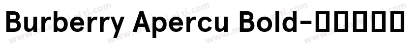 Burberry Apercu Bold字体转换